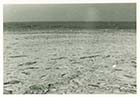 Frozen Sea | Margate History